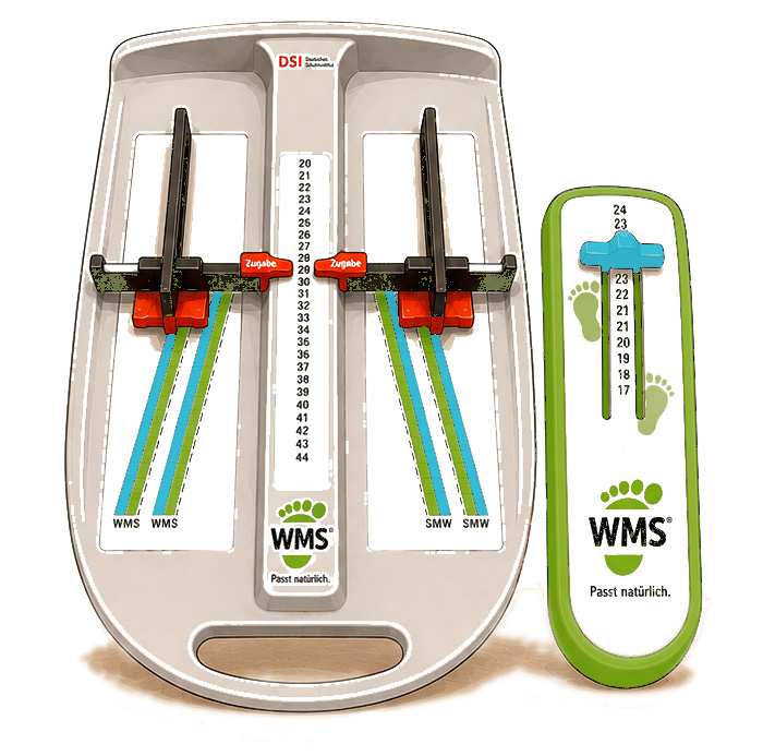 wms-system